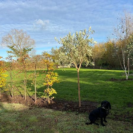Вилла Idyllic Secluded Hideaway With Countryside Views On The Edge Of The Cotswolds Хейли Экстерьер фото