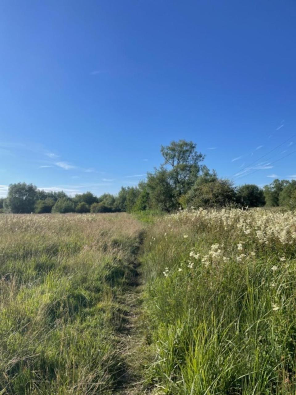 Вилла Idyllic Secluded Hideaway With Countryside Views On The Edge Of The Cotswolds Хейли Экстерьер фото