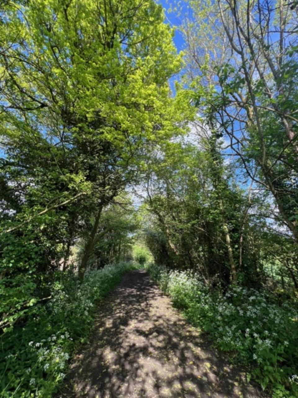 Вилла Idyllic Secluded Hideaway With Countryside Views On The Edge Of The Cotswolds Хейли Экстерьер фото